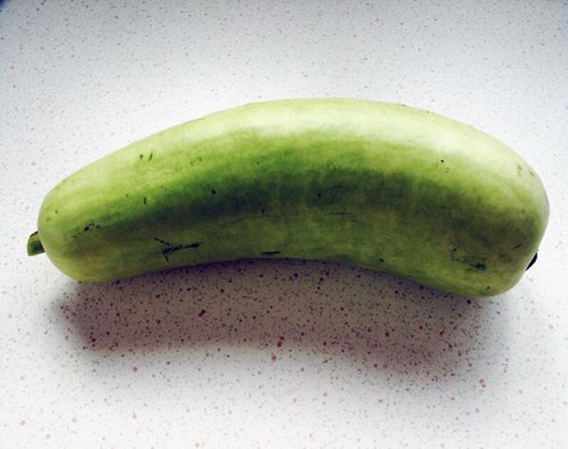 Bottle Gourd Curry-Sabji  - picture